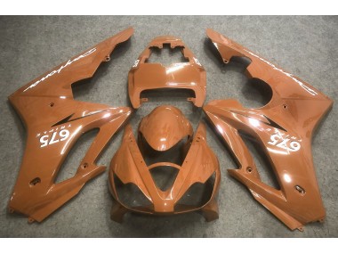 2006-2008 Bronze Daytona 675 Carénage