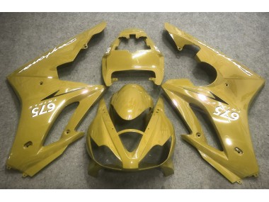 2006-2008 Or Daytona 675 Carénage