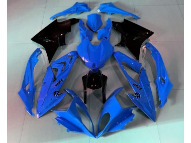 2009-2014 Alien Bleu & Blanc S1000RR Carénage