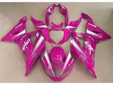 2013-2018 Ninja Rose ZX6R Carénage