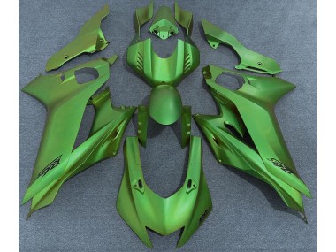2017-2021 Vert Mat R6 Carénage