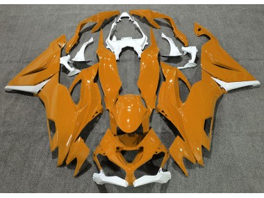 2019-2023 Orange Brillant & Blanc ZX6R Carénage